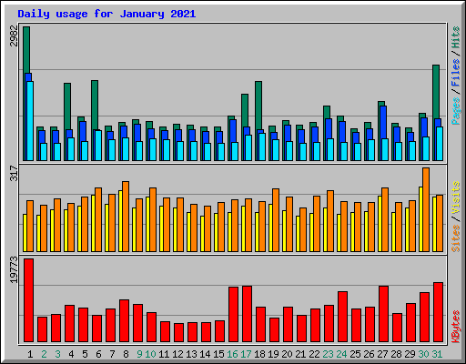 Daily usage for January 2021