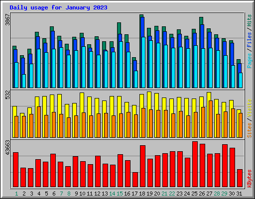Daily usage for January 2023