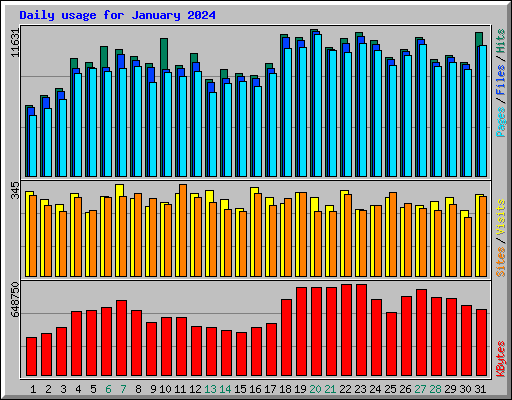 Daily usage for January 2024