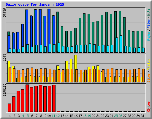 Daily usage for January 2025
