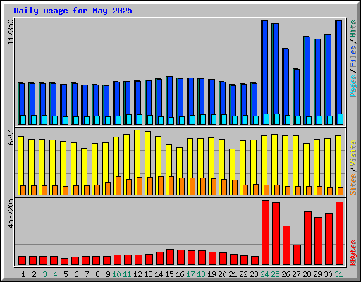 Daily usage for May 2025