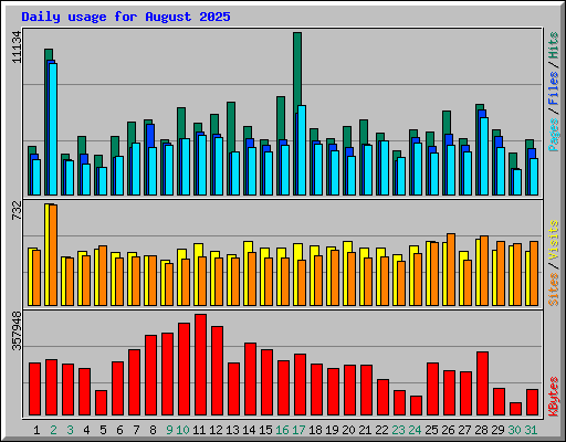 Daily usage for August 2025