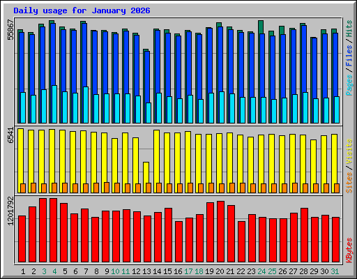 Daily usage for January 2026