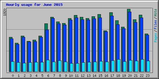 Hourly usage for June 2015