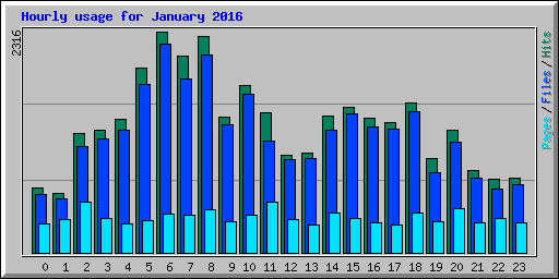 Hourly usage for January 2016