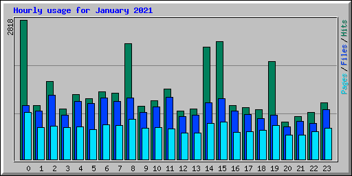 Hourly usage for January 2021