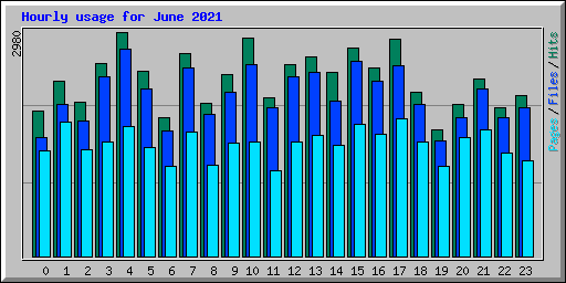 Hourly usage for June 2021