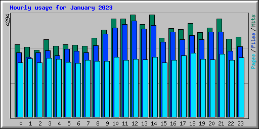 Hourly usage for January 2023