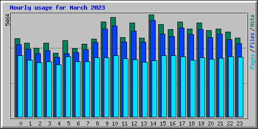 Hourly usage for March 2023