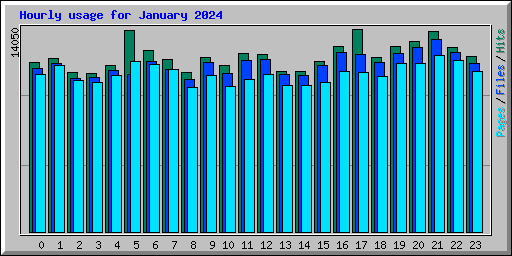 Hourly usage for January 2024