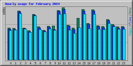 Hourly usage for February 2024