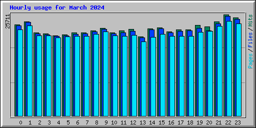 Hourly usage for March 2024