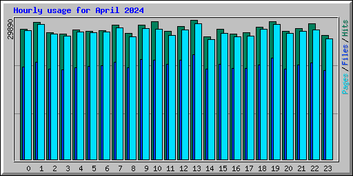 Hourly usage for April 2024