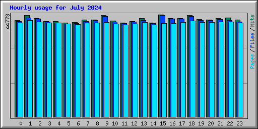 Hourly usage for July 2024