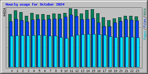 Hourly usage for October 2024