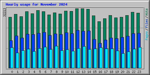 Hourly usage for November 2024