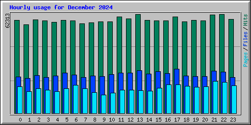 Hourly usage for December 2024