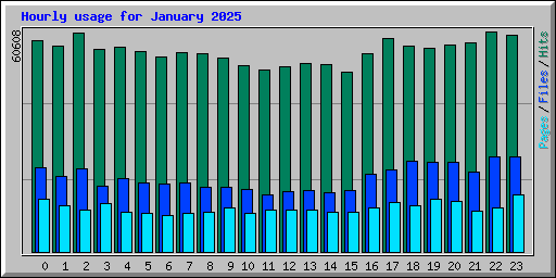 Hourly usage for January 2025