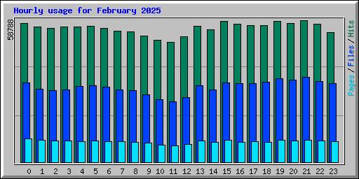 Hourly usage for February 2025