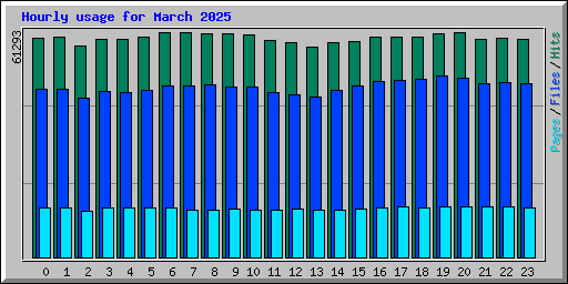 Hourly usage for March 2025
