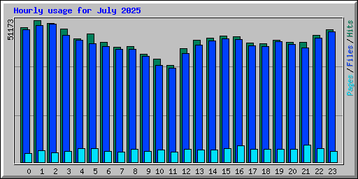 Hourly usage for July 2025