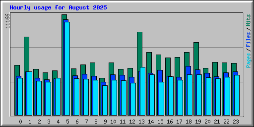Hourly usage for August 2025