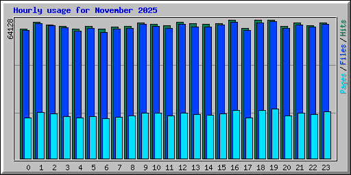 Hourly usage for November 2025