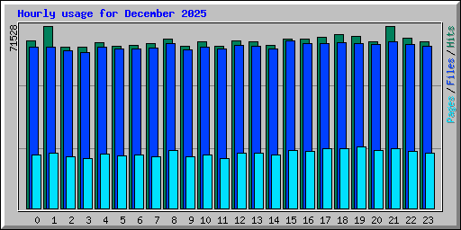Hourly usage for December 2025