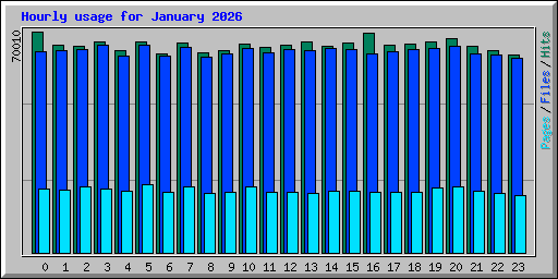 Hourly usage for January 2026