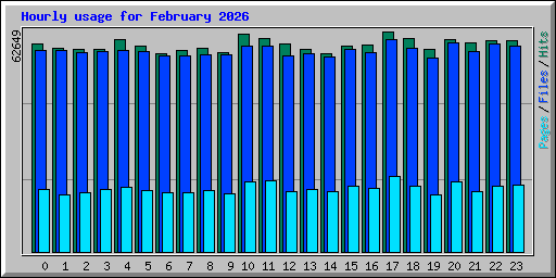 Hourly usage for February 2026